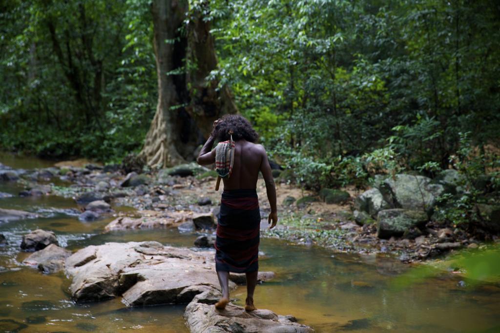 Gal Oya Lodge Galgamuwa  Kamer foto